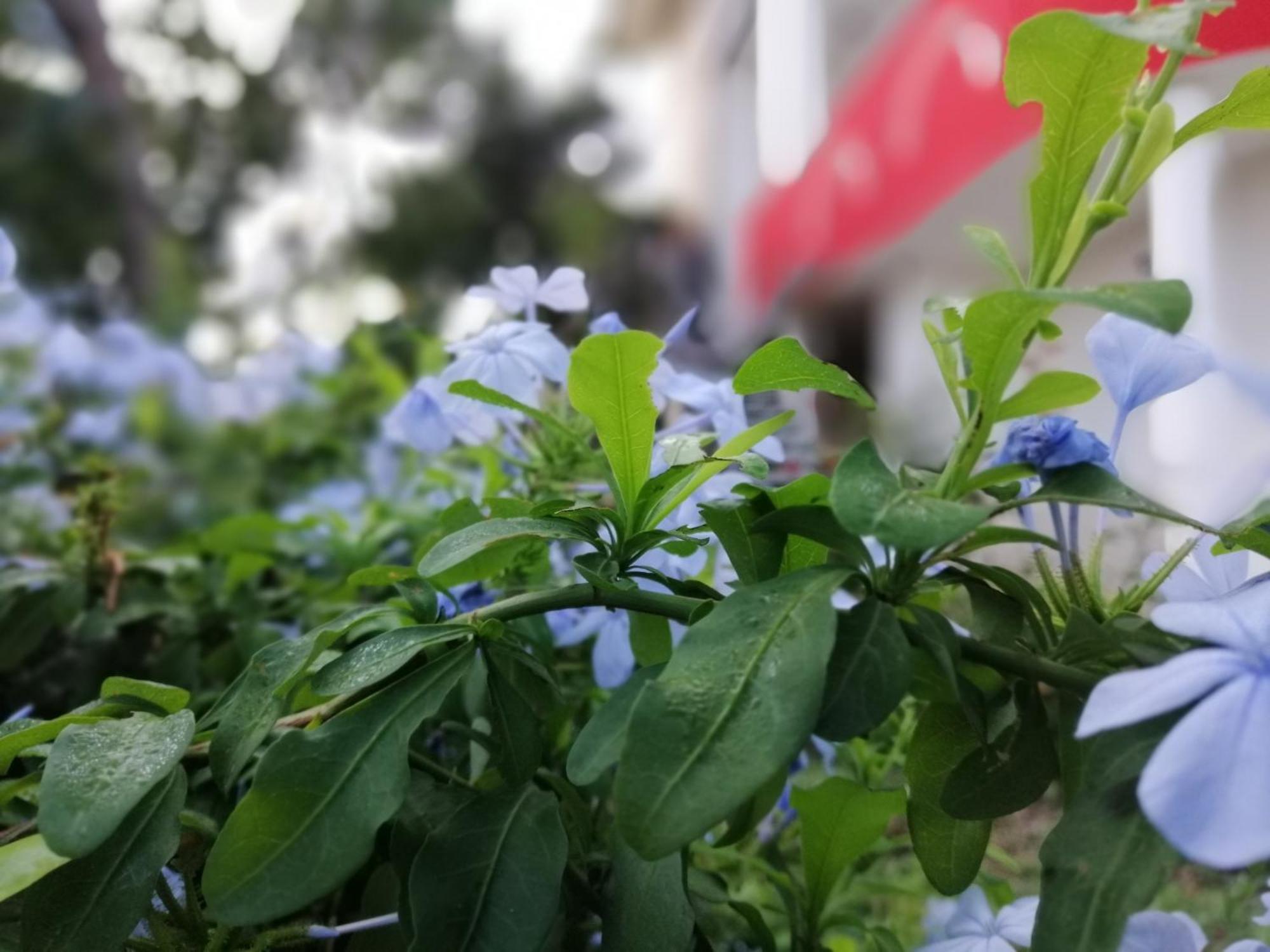 B&B Sa Scraria Meana Sardo Экстерьер фото